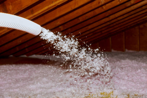 Professional Insulation Contractor in Anacoco, LA