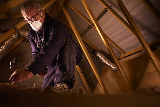 Best Insulation Replacement Services  in Anacoco, LA