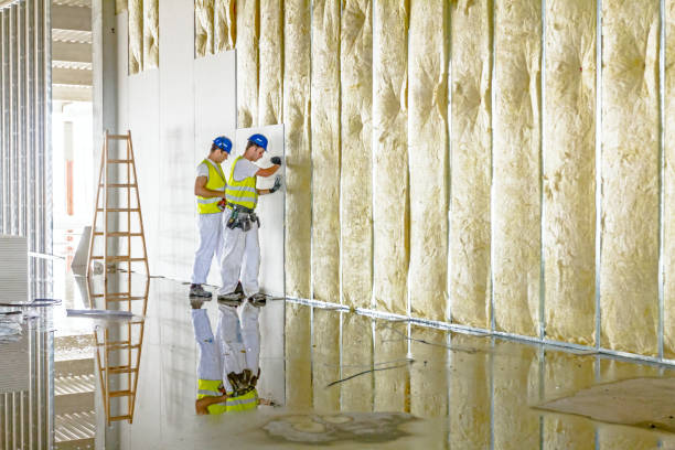 Best Local Insulation Services  in Anacoco, LA